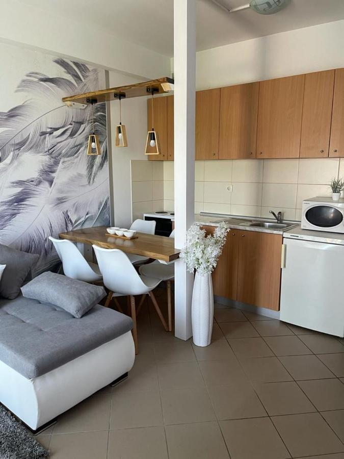 Apartman Lukić Banja Koviljaca Bagian luar foto