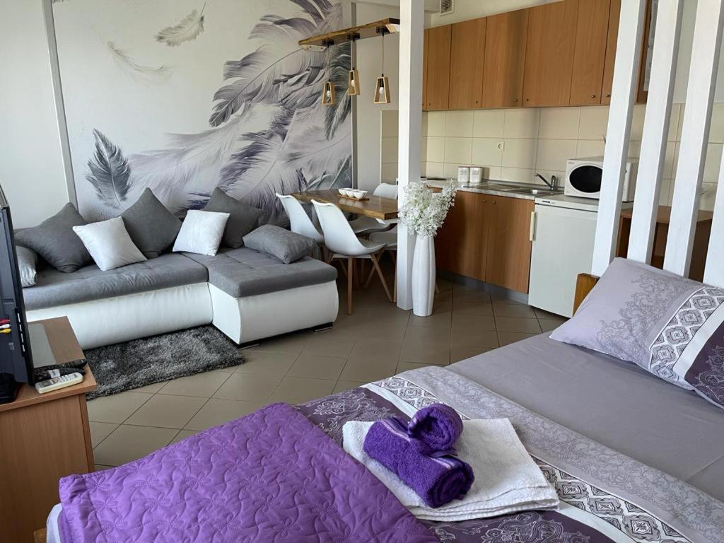 Apartman Lukić Banja Koviljaca Bagian luar foto