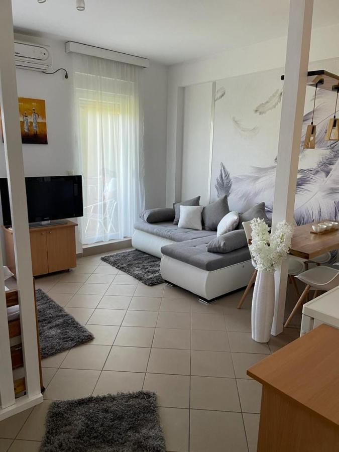 Apartman Lukić Banja Koviljaca Bagian luar foto