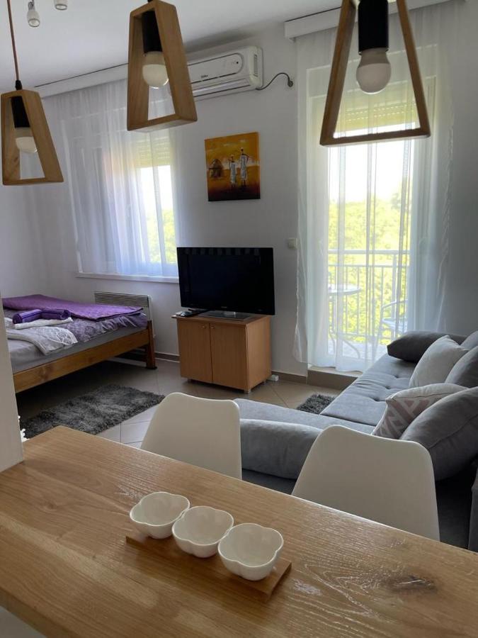 Apartman Lukić Banja Koviljaca Bagian luar foto