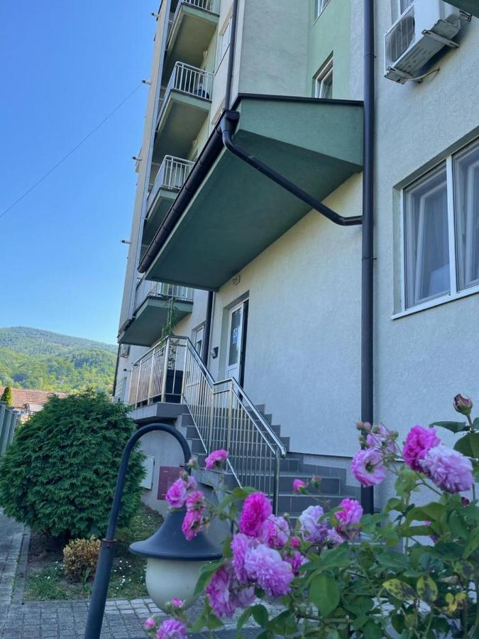 Apartman Lukić Banja Koviljaca Bagian luar foto
