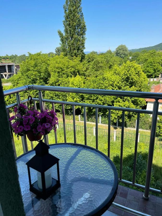 Apartman Lukić Banja Koviljaca Bagian luar foto